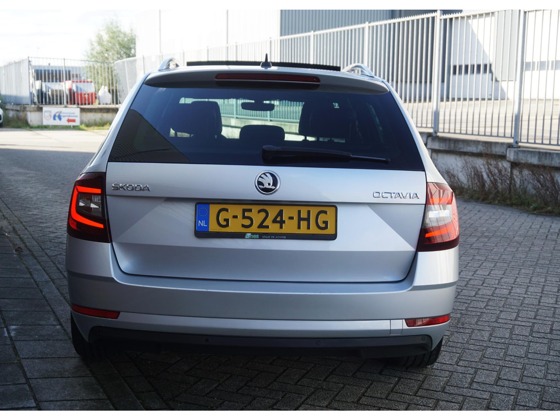 47490766-33.jpg